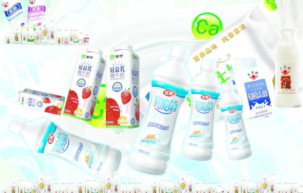 乳酸菌 小小微生物，守護大健康——日用百貨中的健康衛士
